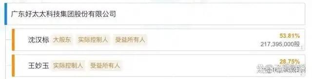 、净利下滑旗下电动晾衣机曾抽查不合格凯发k8国际好太太去年前三季度营收(图13)